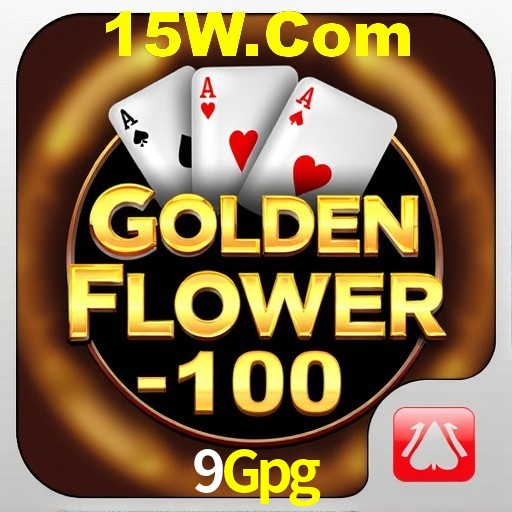 Interface do App 9Gpg